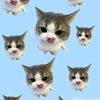 semaili_30511