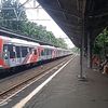 argohinork