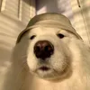 liulawng