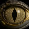 👁️