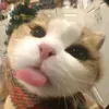 latuiday18