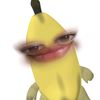 lilythehometown