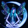 mariadelcarmenjim672