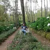 yanto_5758