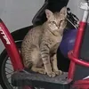 trdggch7