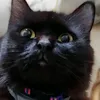 jzformar