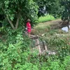 MèoMêCâu