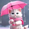 shahin10565