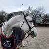 julka_equestrian__