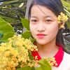 pyae.pyae.0218