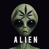 l>ALIEN_18🪬👽❗️