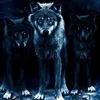 the_manic_wolves