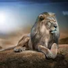 jawadbashir86
