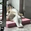 ່