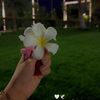 roqa409
