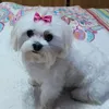 milolitaaa