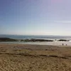 armellerodriguay