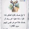 user39213152022264