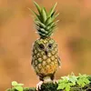 random_guy_loi
