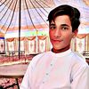 armannafees3