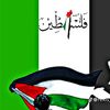 alirajput8282