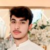 msudais071