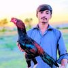 muhmmadsharyar4
