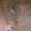 _chiquitah04