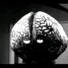 wslabymkinie