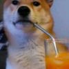 orangejuicelover43_