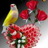 shahbazali338and1