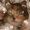 misty_mee717