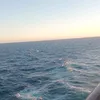 sahlitalha