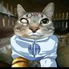 .conquestcat