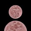 siddika_702