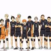 _karasuno_h
