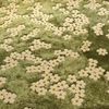 foamcorridor