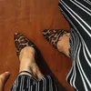 roberta.conceito
