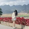 nqocc_thwng08