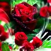 user6196836098865