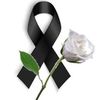 user67906717731704