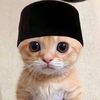 habibiskandarr