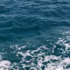 nassnass144