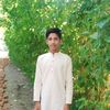 rjshakib316