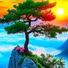 user14221005952441