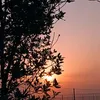 zainab.aqeel29