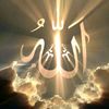 hamdy.op