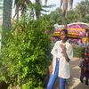 peace_sliver56