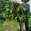 chinbui89.com