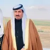 hamedalsfogy